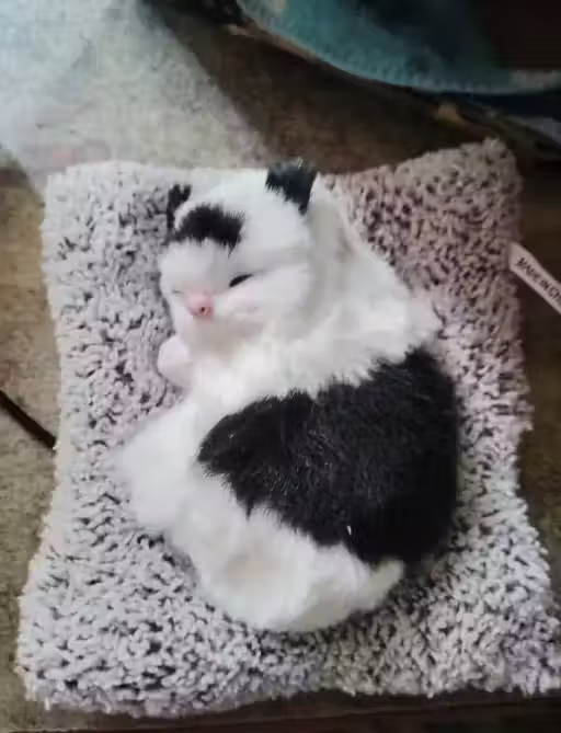 Cute Dashboard Decorative Sleeping Cat for Car Interior & Table Decor | with Sound Effec