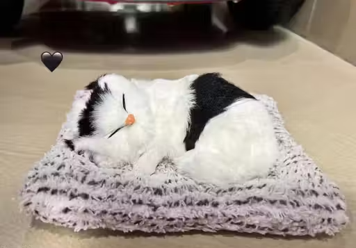 Cute Dashboard Decorative Sleeping Cat for Car Interior & Table Decor | with Sound Effec