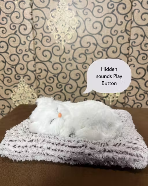 Cute Dashboard Decorative Sleeping Cat for Car Interior & Table Decor | with Sound Effec